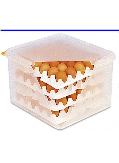 Boîte de stockage et transport des œufs