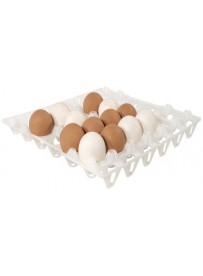 Plateau plastique pour œufs